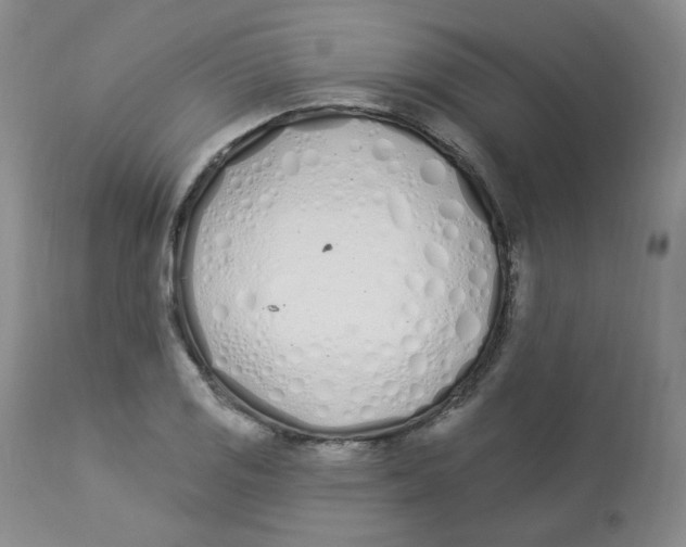 X0000112841125200909111415