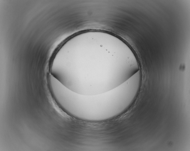 X0000112841128200909111415