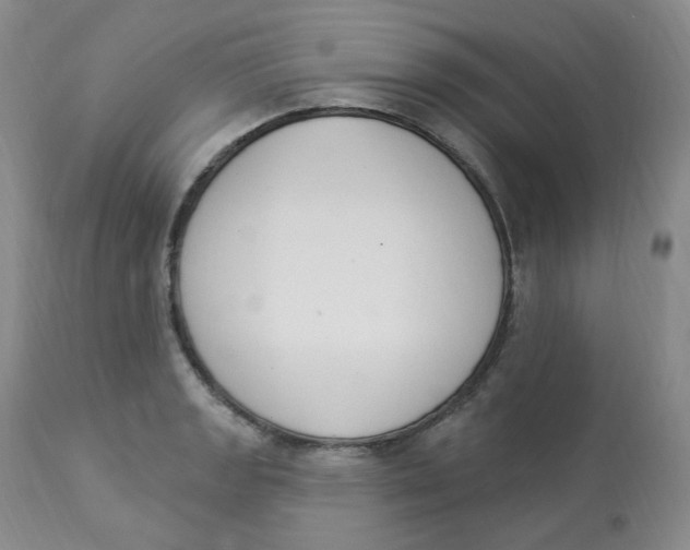 X0000112841133200909111416