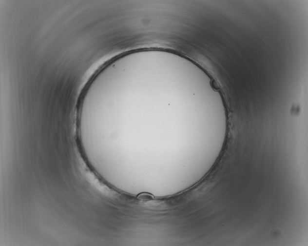 X0000112841140200909111416