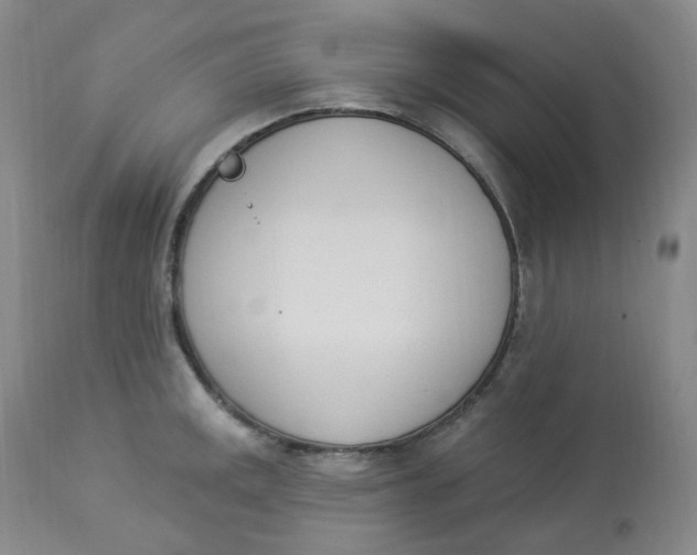 X0000112841141200909111416