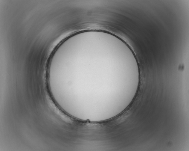 X0000112841142200909111416