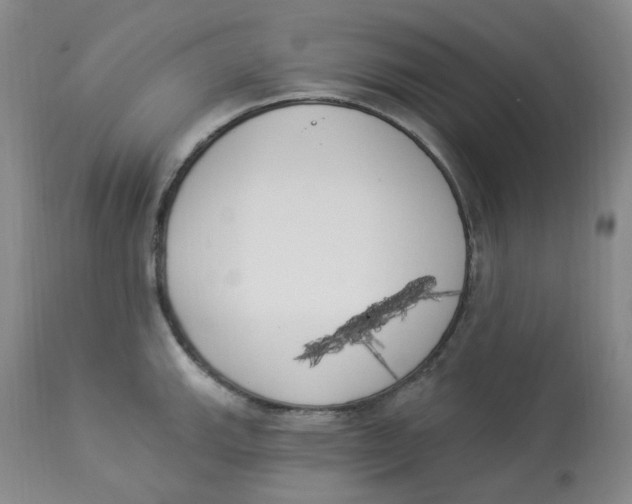 X0000112841143200909111416