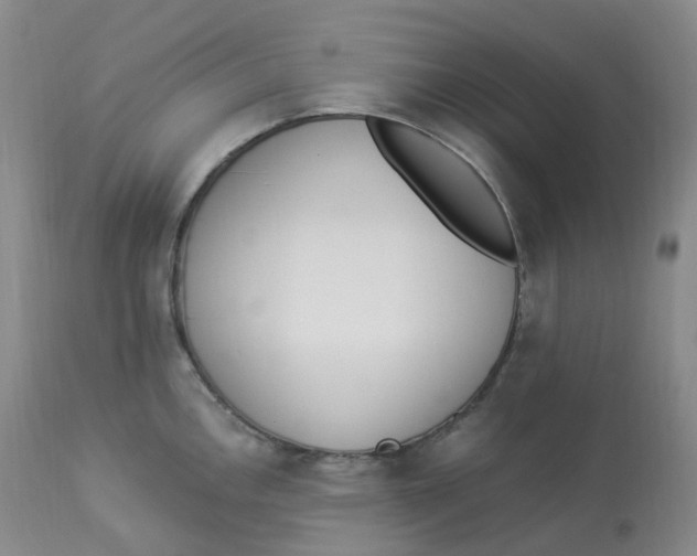 X0000112841146200909111416