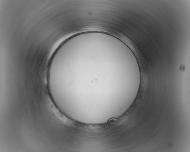 X0000112841148200909111416