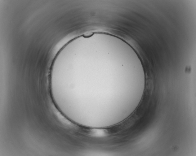 X0000112841151200909111416