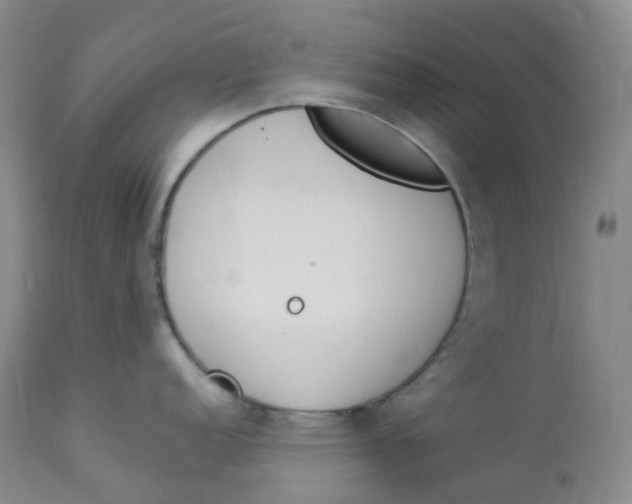 X0000112841152200909111416