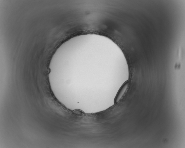 X0000112841153200909111415