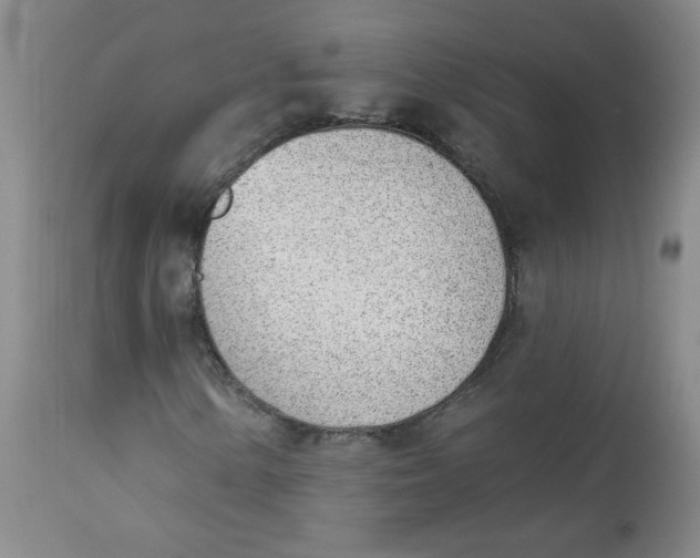 X0000112841154200909111415