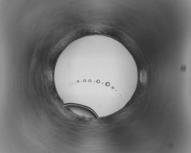 X0000112841155200909111415