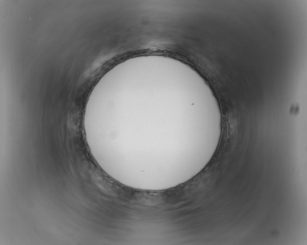 X0000112841158200909111415