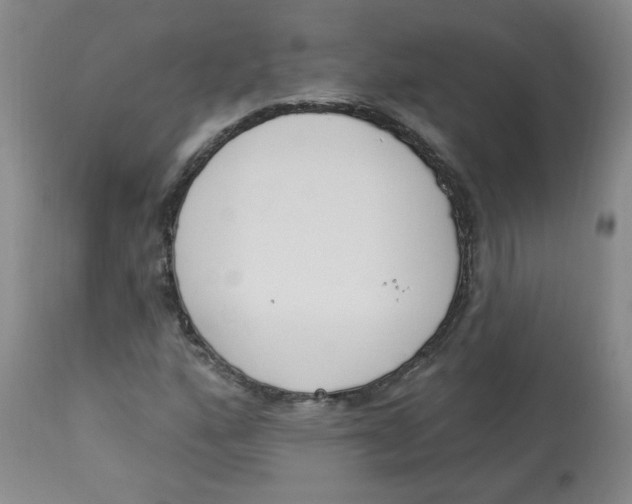 X0000112841160200909111415