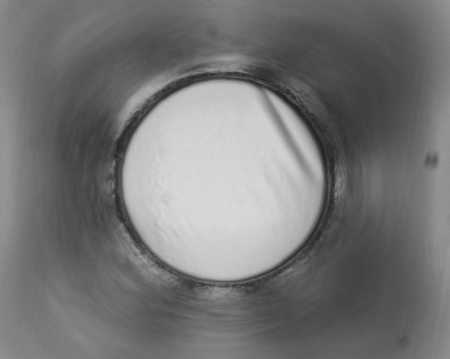 X0000112841164200909111415