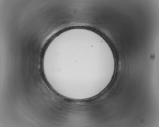 X0000112841165200909111415