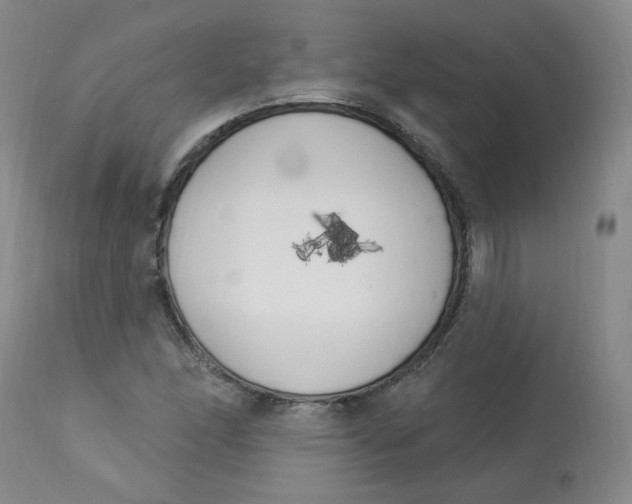 X0000112841166200909111415