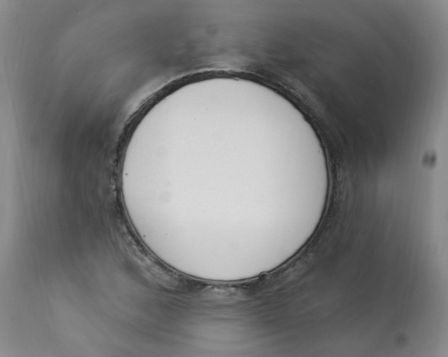 X0000112841168200909111415