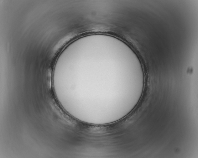 X0000112841171200909111415