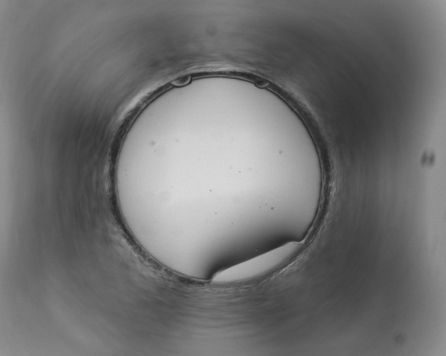 X0000112841173200909111415