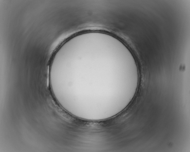 X0000112841175200909111415