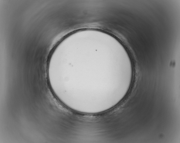 X0000112841176200909111415