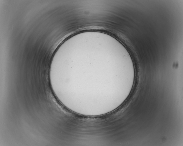 X0000112841177200909111415