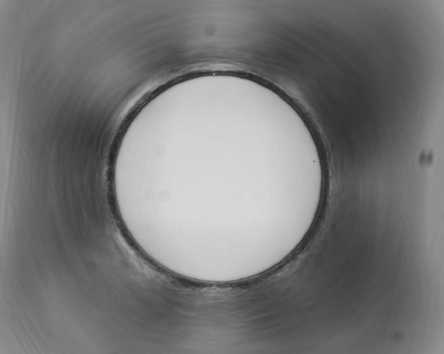 X0000112841181200909111415