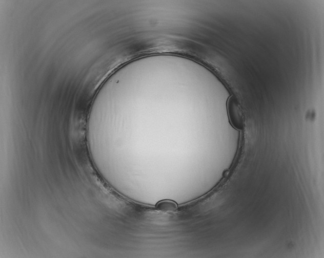 X0000112841185200909111415