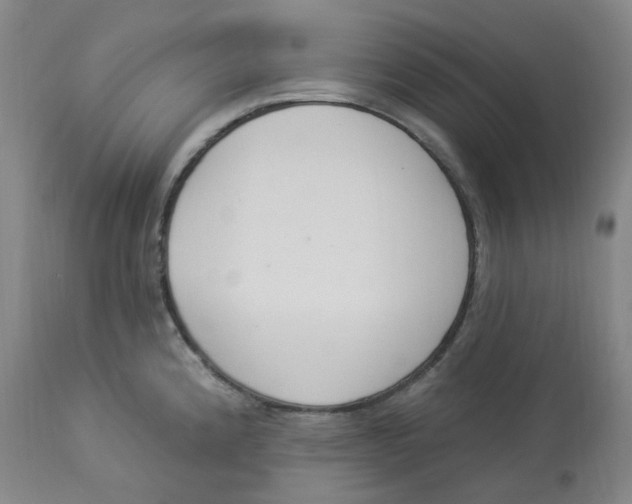 X0000112841192200909111415