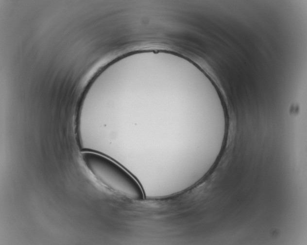 X0000112841197200909111415