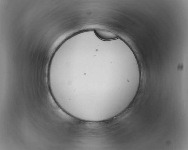 X0000112841199200909111415