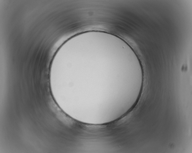 X0000112841200200909111415