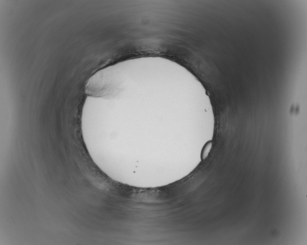 X0000112841201200909111414