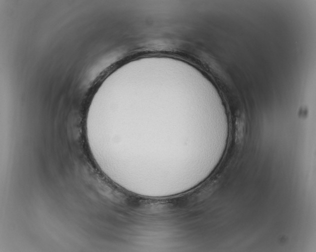 X0000112841213200909111414