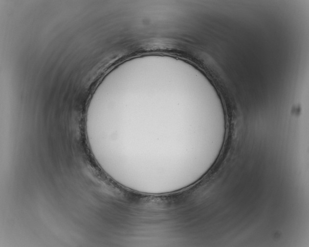 X0000112841217200909111414