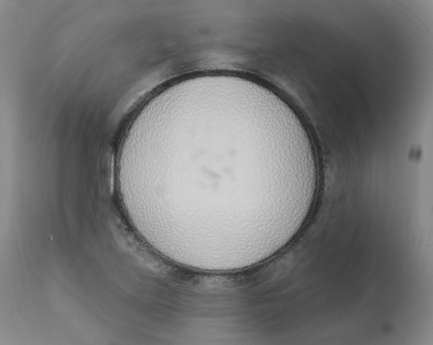 X0000112841219200909111414