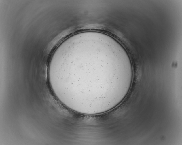 X0000112841221200909111414