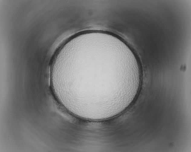 X0000112841223200909111414