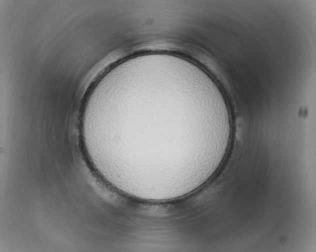 X0000112841229200909111414