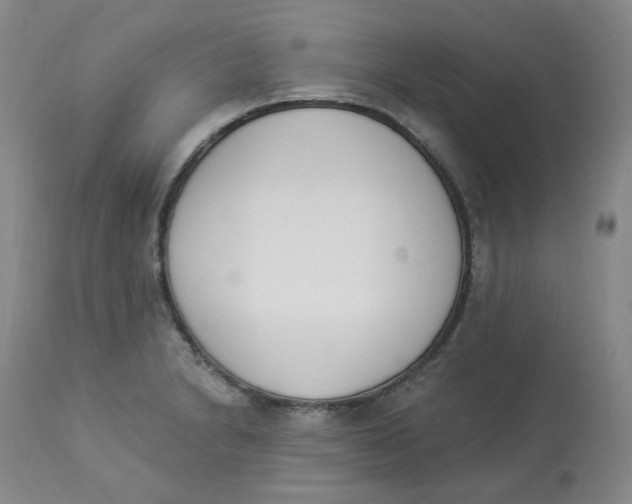 X0000112841230200909111414