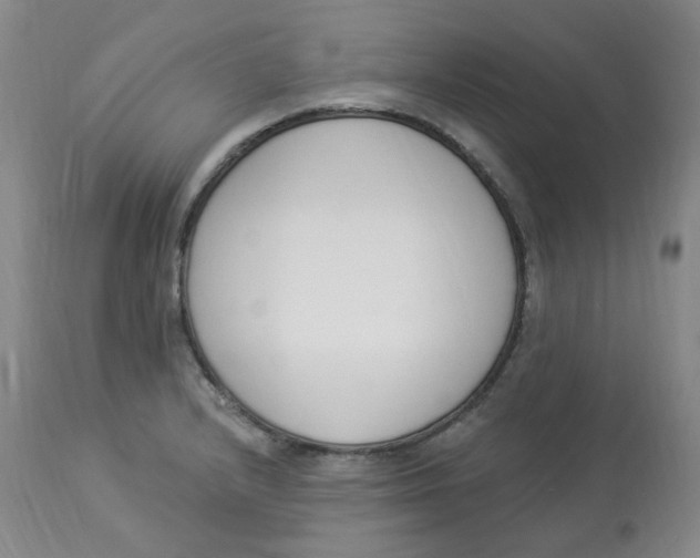 X0000112841232200909111414