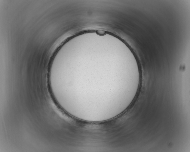 X0000112841237200909111414