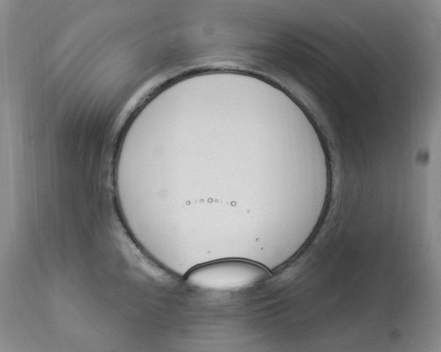 X0000112841240200909111414