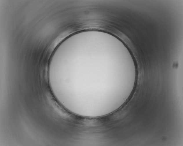 X0000112841242200909111414