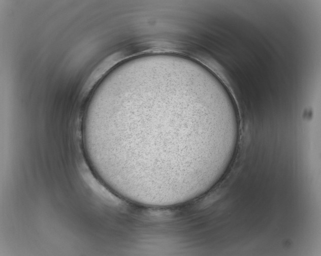 X0000112841243200909111414