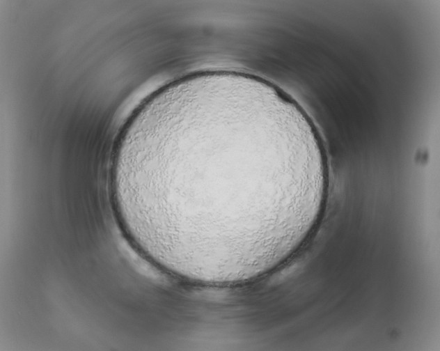 X0000112841245200909111414