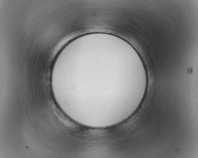 X0000112841246200909111414