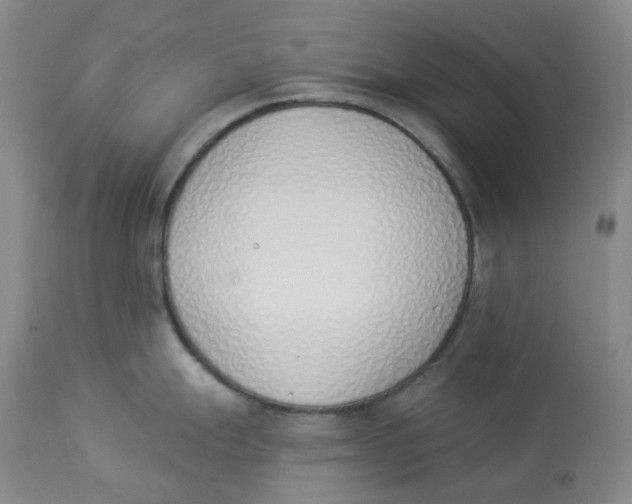 X0000112841247200909111414