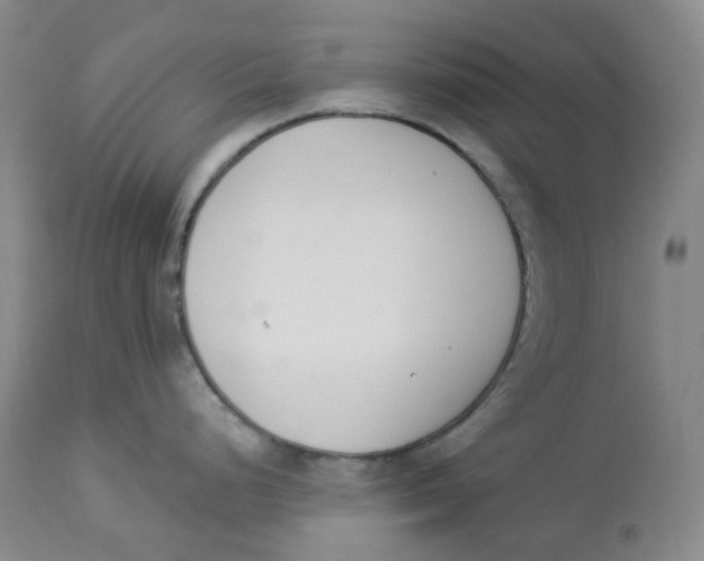 X0000112841248200909111415