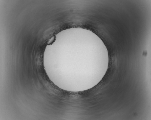 X0000112841250200909111414