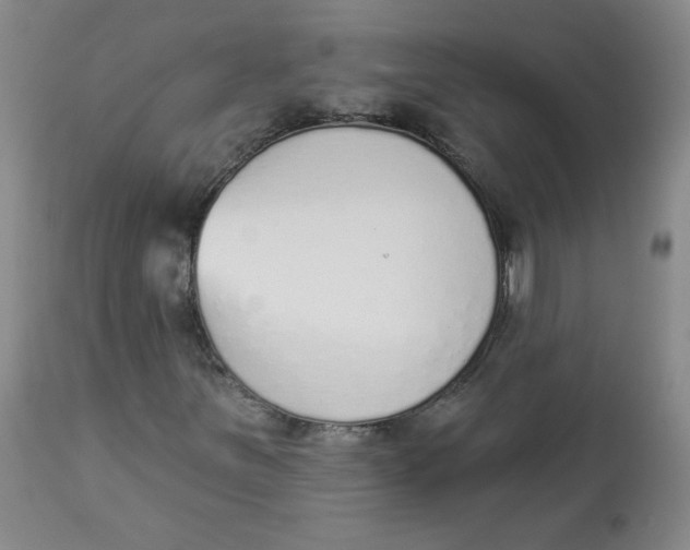 X0000112841251200909111414